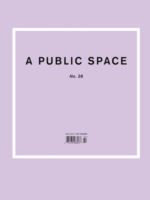 cover image of A Public Space No. 28